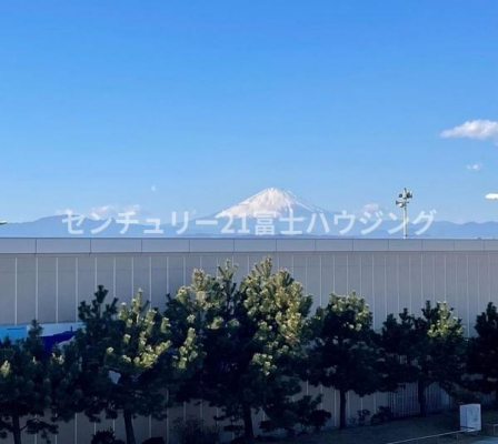 Z˂̒]ʐ^@-