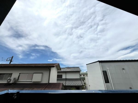 Z˂̒]ʐ^@-