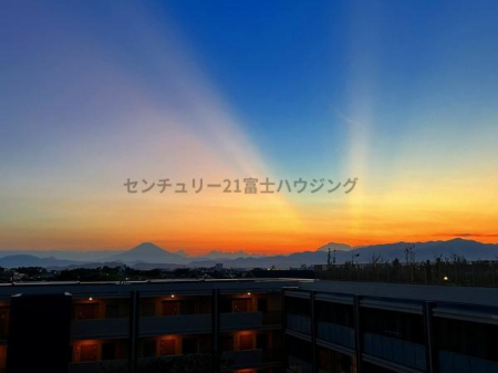Z˂̒]ʐ^@-