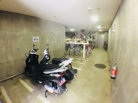 ̑p@oCNu@֏