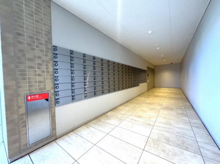 ̑p@[BOX@