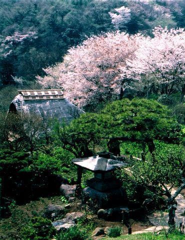 _ސ쌧qsL̐VzˌĂ̎ӊ