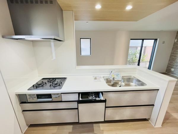 �_�ސ쌧������s���Z���̐V�z��ˌ��ẴL�b�`��