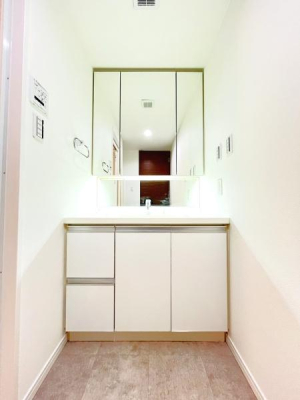 _ސ쌧CVsPJ̒Ã}V̐ʑEʏ