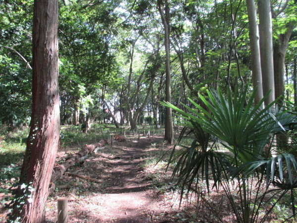 _ސ쌧sq̐VzˌĂ̎ӊ