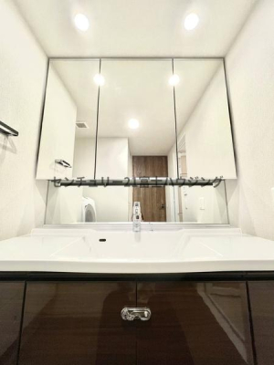 _ސ쌧qs␣1ڂ̒Ã}V̐ʑEʏ