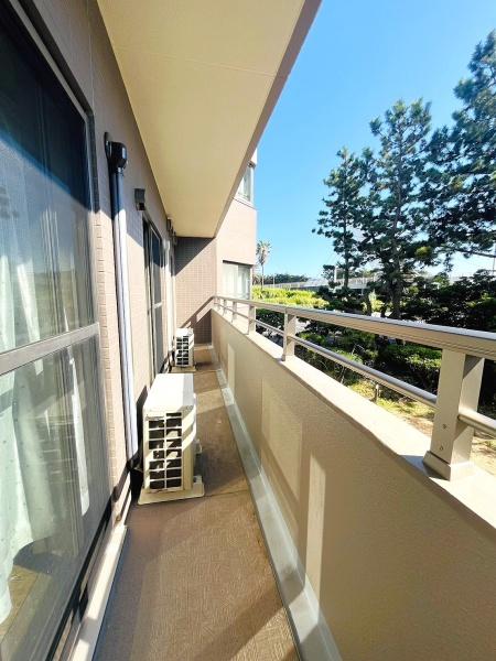 _ސ쌧s΂l̒Ã}ṼoRj[