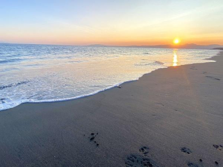 _ސ쌧s΂l̒Ã}V̂̑