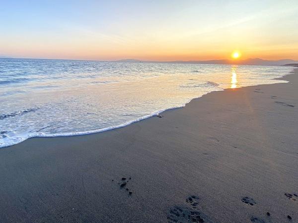 _ސ쌧s΂l̒Ã}V̂̑