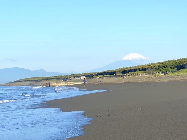 _ސ쌧s΂l̒Ã}V̂̑