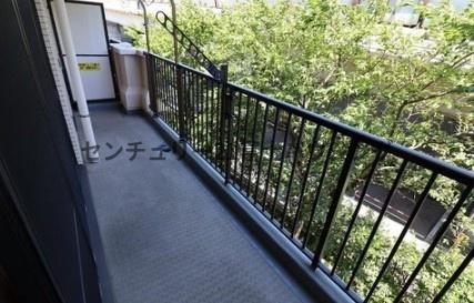 _ސ쌧sh̒Ã}ṼoRj[