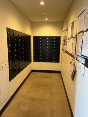 �_�ސ쌧������s�����̒��Ã}���V�����̂��̑����p��