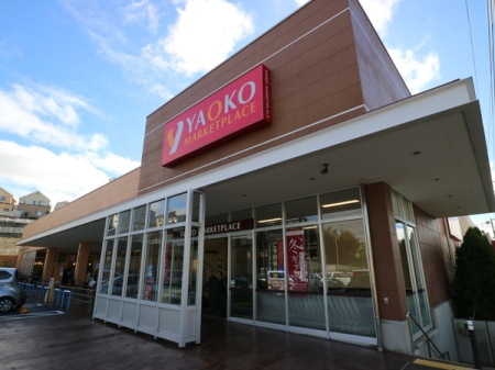 _ސ쌧qs֒J̒ÈˌĂ̎ӊ