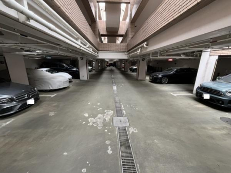 �_�ސ쌧������s�����C�݂̒��Ã}���V�����̉摜