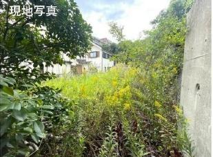 _ސ쌧s{5ڂ̓yn̂̑n