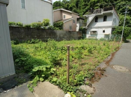 _ސ쌧qs咬7ڂ̓yňnynʐ^