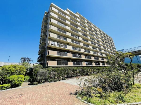 �_�ސ쌧������s�����̒��Ã}���V�����̂��̑����n