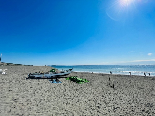 _ސ쌧sCݓ4ڂ̐VzˌĂ̎ӊ