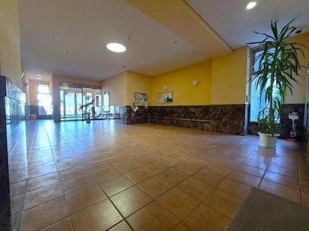 �_�ސ쌧����s���� 669-4�̒��Ã}���V�����̃��r�[