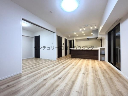 �_�ސ쌧����s���� 669-4�̒��Ã}���V�����̃��r���O