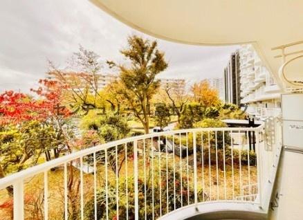 �_�ސ쌧���q�s���{�̒��Ã}���V�����̃o���R�j�[