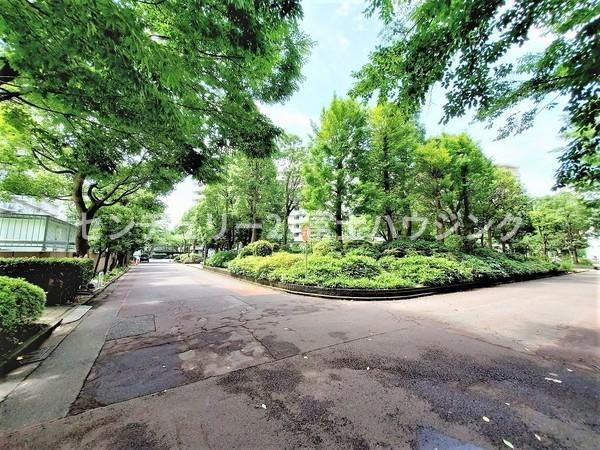 _ސ쌧qs{̒Ã}V̂̑p