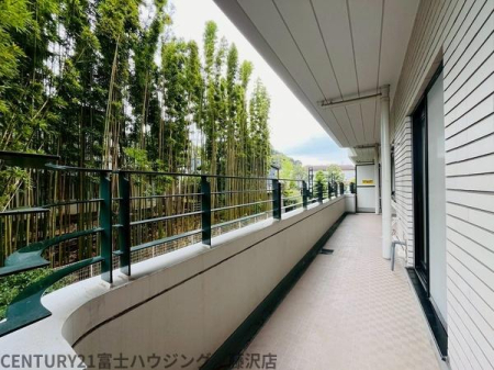 _ސ쌧sА2ڂ̒Ã}ṼoRj[