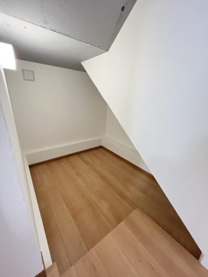 �_�ސ쌧������s�l�V���̒��È�ˌ��Ă̎��[