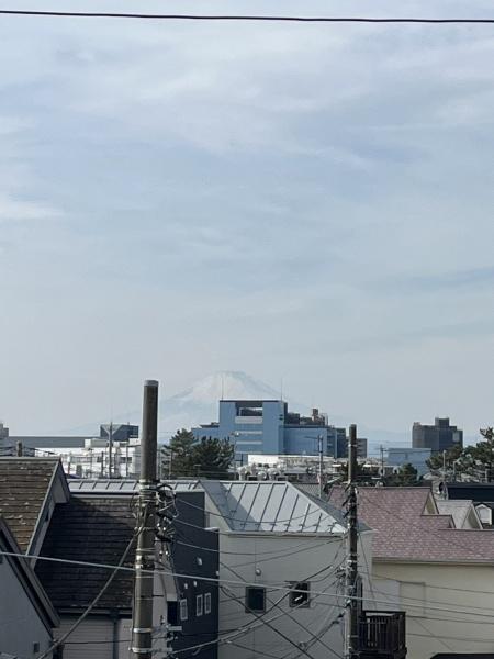 �_�ސ쌧������s�l�V���̒��È�ˌ��Ă̏Z�˂���̒��]�ʐ^