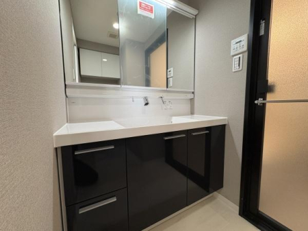 _ސ쌧s̒Ã}V̐ʑEʏ