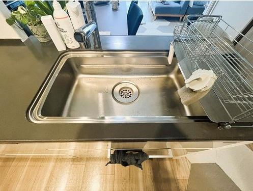 _ސ쌧؎s4ڂ̒Ã}ṼLb`