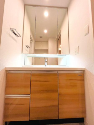 _ސ쌧s얼 384-5̒Ã}V̐ʑEʏ