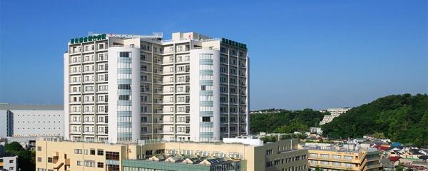 _ސ쌧qsA؂̓yn̎ӊ