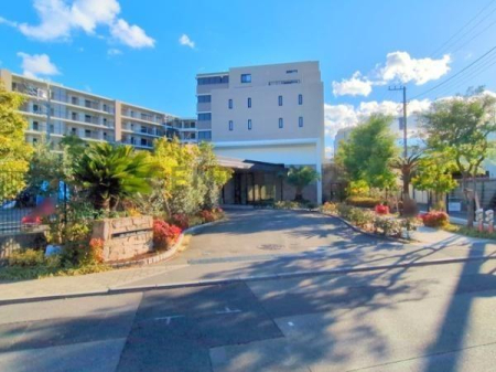 _ސ쌧s̒Ã}V̌nOώʐ^