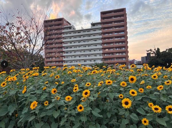 _ސ쌧Ԏs΃Pu4ڂ̒Ã}V̌nOώʐ^