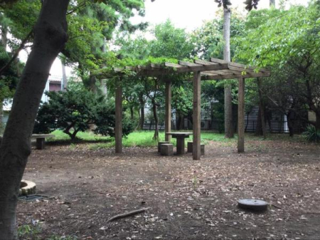 �_�ސ쌧������s���C�ݓ�6���ڂ̒��Ã}���V�����̎��ӊ�