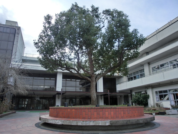 �_�ސ쌧���l�s�h��}��5���� 36-1�̒��Ã}���V�����̎��ӊ�