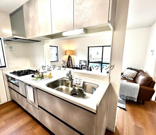 �_�ސ쌧������s�����̒��È�ˌ��ẴL�b�`��