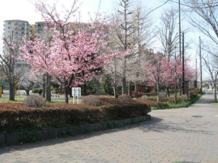 �_�ސ쌧����s���3���ڂ̒��Ã}���V�����̎��ӊ�