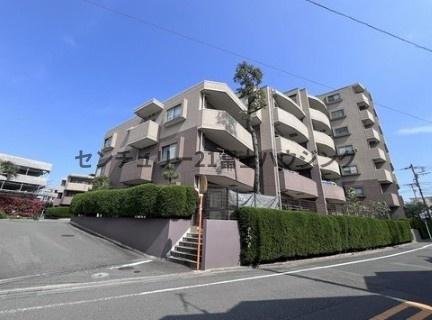 �_�ސ쌧������s�΂��l�̒��Ã}���V�����̌��n�O�ώʐ^