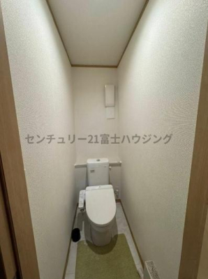 �_�ސ쌧������s�Ï��̒��È�ˌ��Ẵg�C��