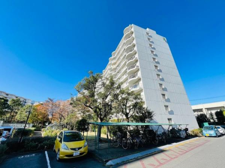 �_�ސ쌧���q�s���{�̒��Ã}���V�����̂��̑����n