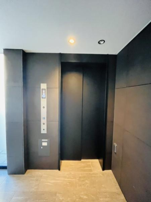 �_�ސ쌧���l�s��q�搼���̒��Ã}���V�����̂��̑����p��