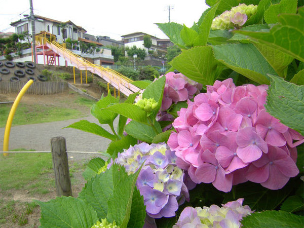 �_�ސ쌧����s�勘3���ڂ̐V�z��ˌ��Ă̎��ӊ�