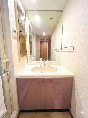 �_�ސ쌧������s���v�ۂ̒��Ã}���V�����̐��ʑ�E���ʏ�