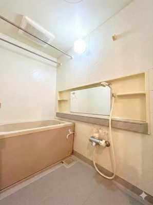 �_�ސ쌧������s���v�ۂ̒��Ã}���V�����̗���