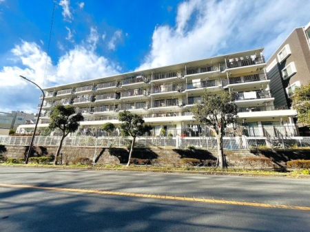 �_�ސ쌧���q�s����2���ڂ̒��Ã}���V�����̌��n�O�ώʐ^