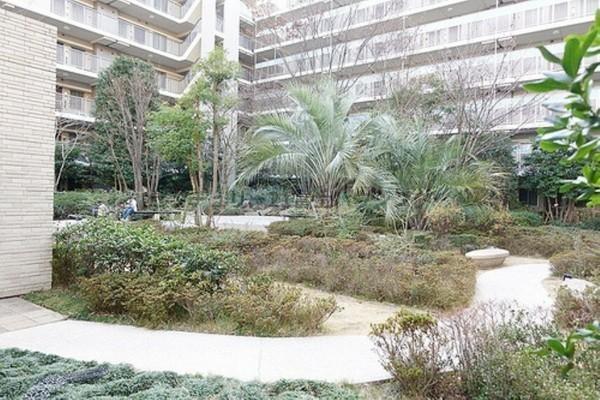 �_�ސ쌧������s�l�����̒��Ã}���V�����̉摜