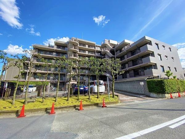 �_�ސ쌧����s�ΐ�1���� 22-3�̒��Ã}���V�����̂��̑����n