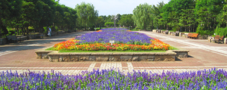 �_�ސ쌧����s�H��5���� 8-27�̒��Ã}���V�����̎��ӊ�